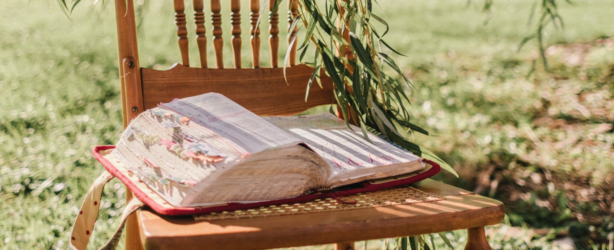 Free Bible study guides