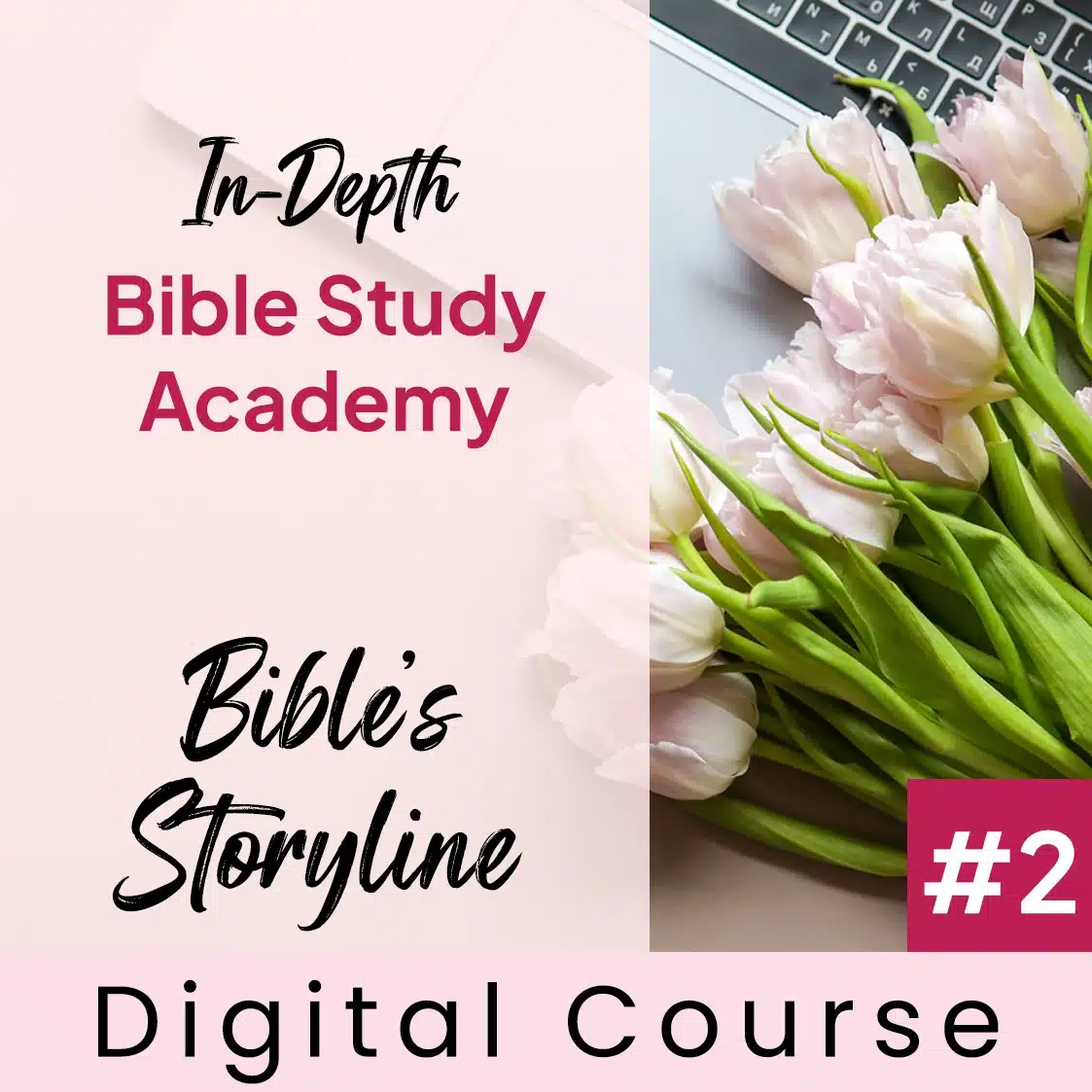 Storyline of the Bible | In-Depth Bible Study Academy Digital Course #2 - Image 1