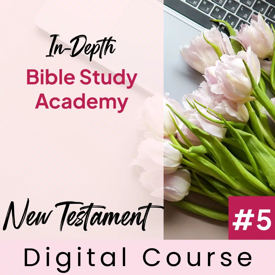Overview of the New Testament | In-Depth Bible Study Academy #5 - Image 1