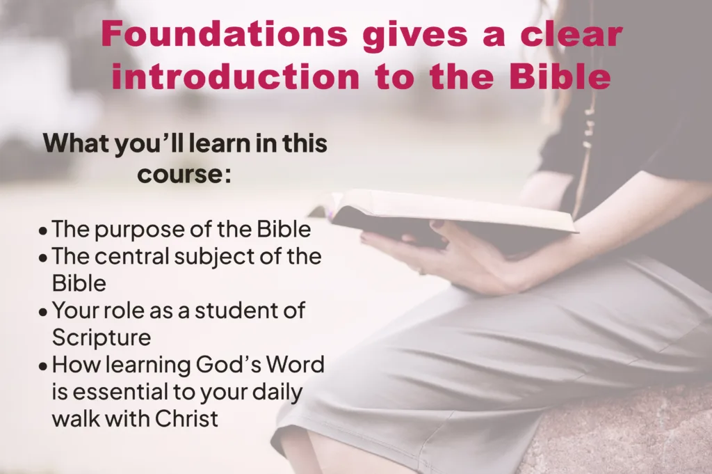 Bible study basics introduction to the Bible and the central ideas