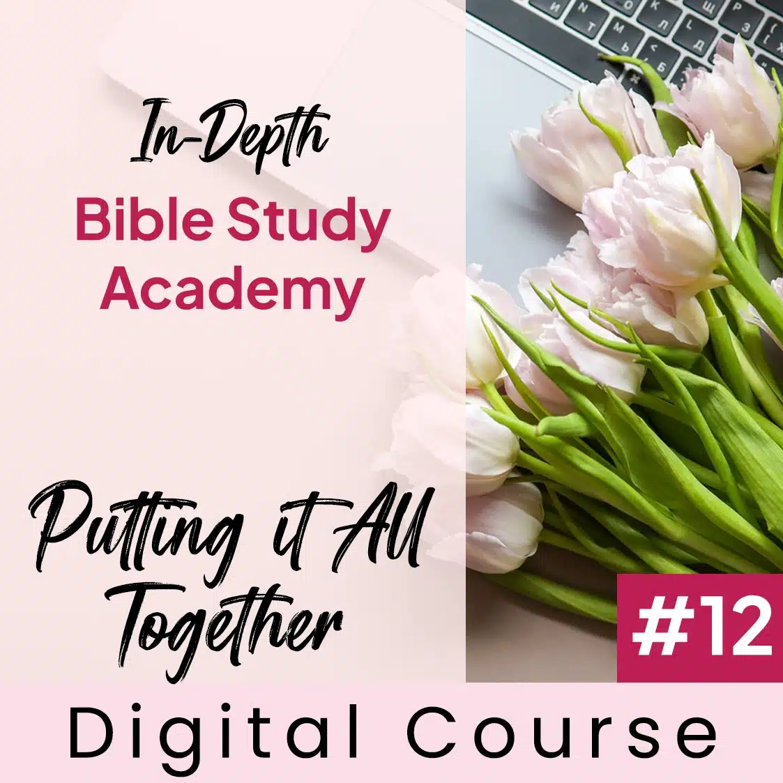 Bible Study Academy – Full 12 Course Bundle - Image 4