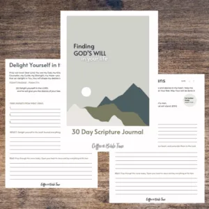 Finding God’s Will in Your Life: 30-Day Purposeful Scripture Journal - Image 2