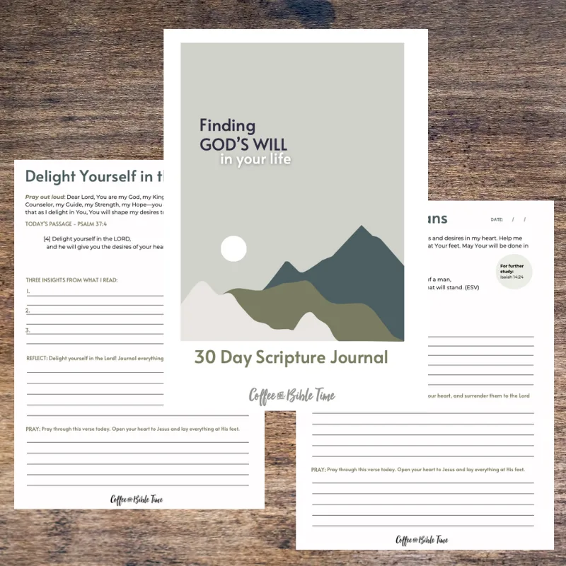 Finding God’s Will in Your Life: 30-Day Purposeful Scripture Journal - Image 2