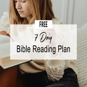 How to Read the Bible + Free 7-Day Bible Reading Plan