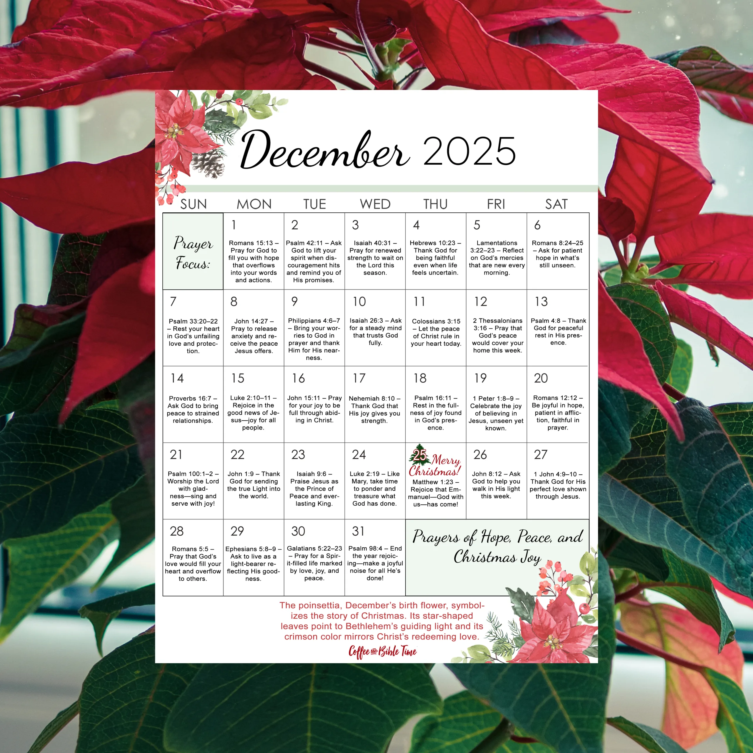 December Prayer Calendar | 31 Prayers of Hope, Peace & Joy