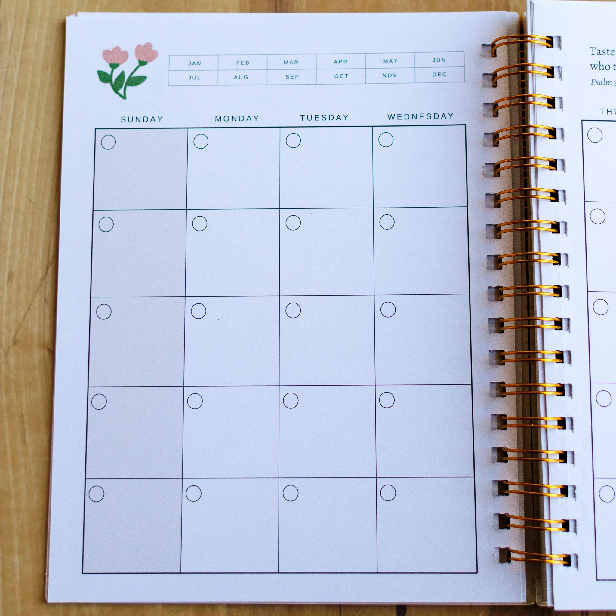 Undated Planner - Image 9