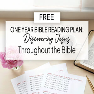 One Year Bible Reading Plan: 365 Days Discovering Jesus Throughout the Bible