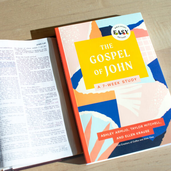 The Gospel of John Bible Study | 7-Week EASY Study Guide Book