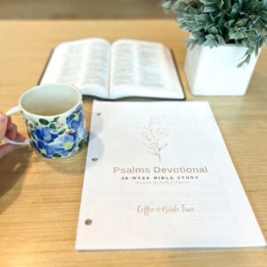 30 Week Psalms Devotional PDF | Transform Your Quiet Time - Image 3
